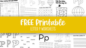 Letter P Worksheets - 50 FREE Printables - PrintaBulk