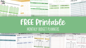 Monthly Budget Planners - 20 FREE Printables - PrintaBulk