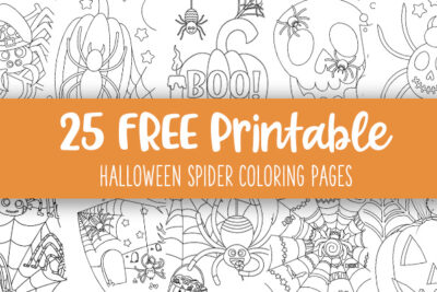 Printable Halloween Spider Coloring Pages Feature Image