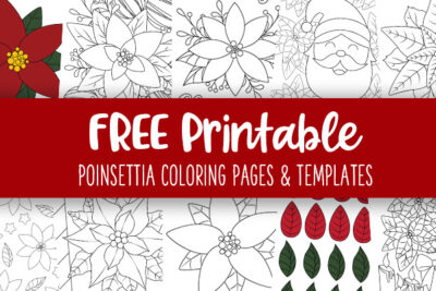 Printable Poinsettia Coloring Pages and Templates Feature Image